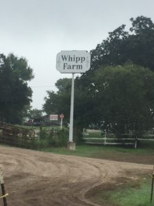 Whip[ Farm Antique Show