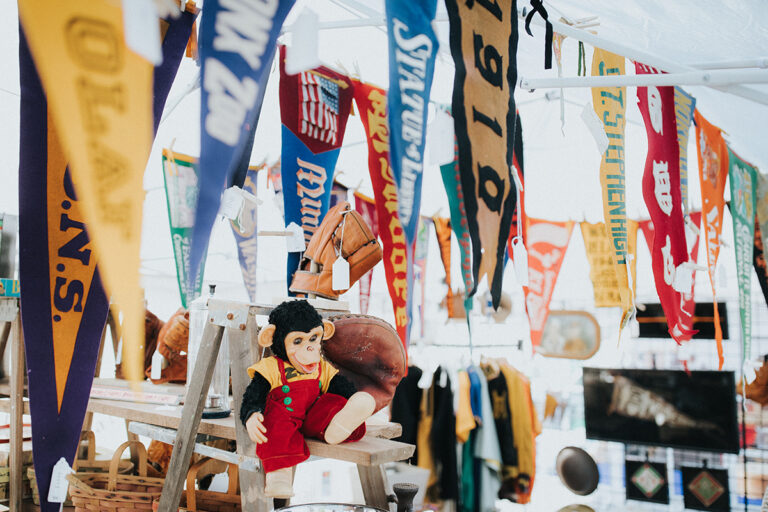 VMD Monkey vignette 768x512